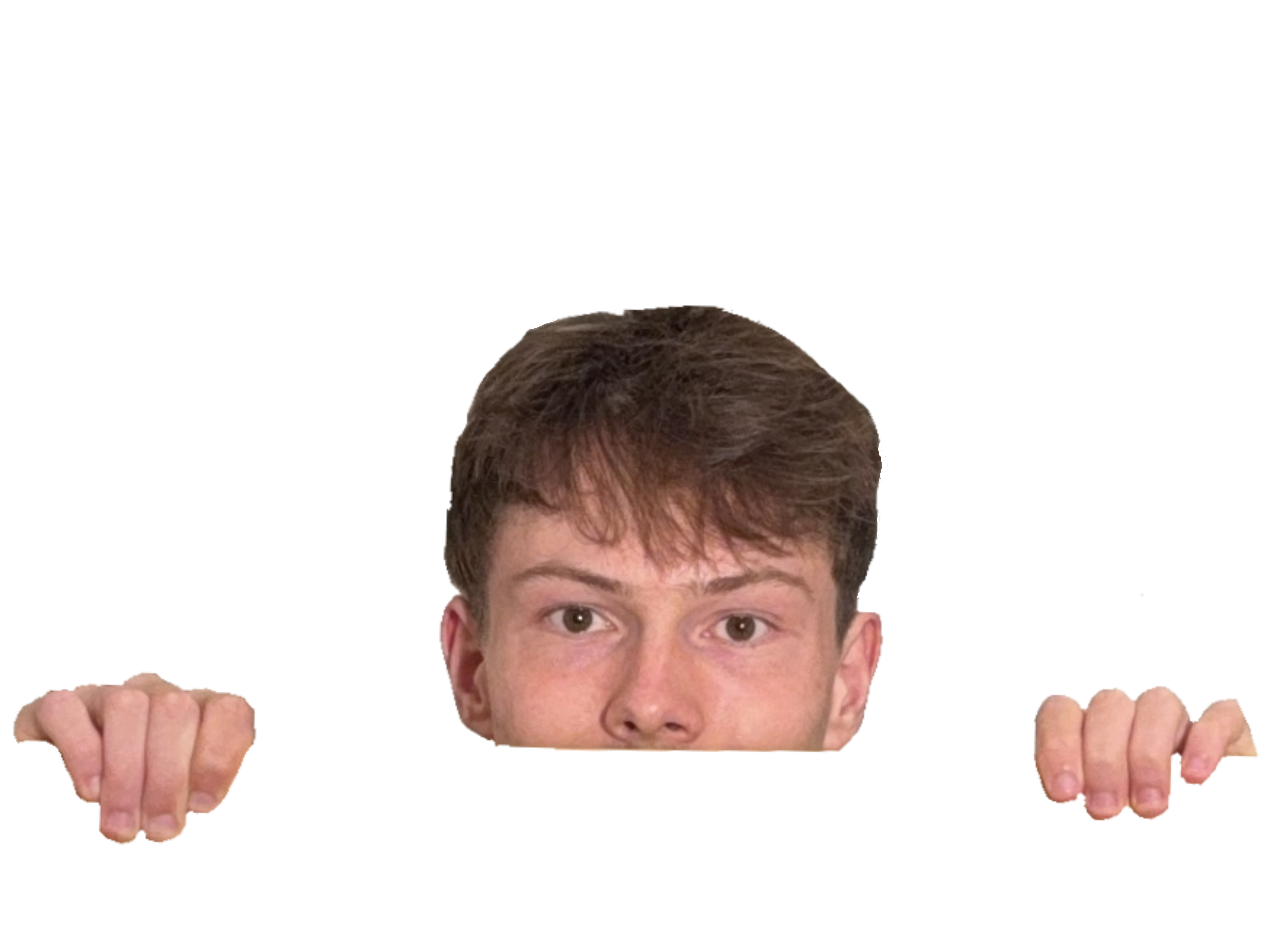 Nils schaut rein